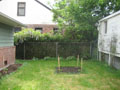 backyard uplevel.JPG